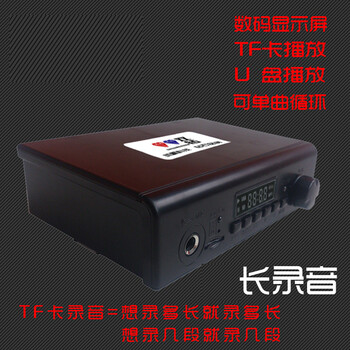 
                                        双钻 40W 功率多媒体插卡插U盘数码录音扩音器 红色                
