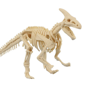 可爱客 美国儿童恐龙化石手工拼装恐龙模型考古挖掘玩具套装送礼 拼装
