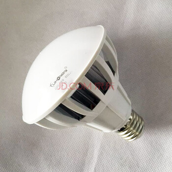富虹斯 节能球泡灯 E27螺口 工厂车间工矿仓库大功率LED灯泡 30w 日光色(白光)