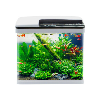 seastar鱼缸水族箱智能变色生态金鱼缸客厅小型玻璃迷你小型热带鱼