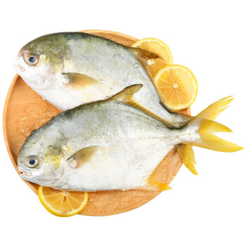 新鲜金鲳鱼 鲜活鲳鱼 金昌鱼 深海平鱼 水产海鲜 顺丰 1kg 1.5kg