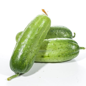 密园小农 密云本地7寸黄瓜 新鲜蔬菜 2.5kg【图片 价格 品牌 报价-