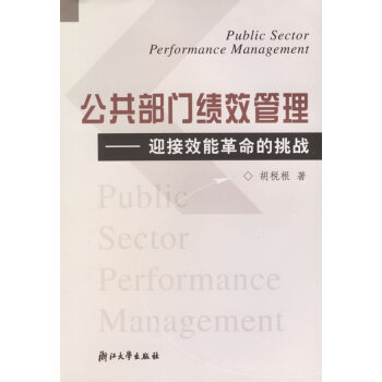 《公共部门绩效管理:迎接效能的挑战》