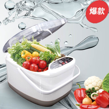 锐智水果蔬菜解毒机洗菜机活氧机RZ-06A 白绿