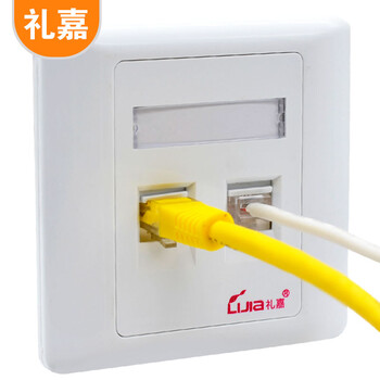 礼嘉（LIJIA）LJ-MB088 电话RJ11语音模块+RJ45超五类网络镀金模块+86型双口面板 模块面板工程布线组合套装