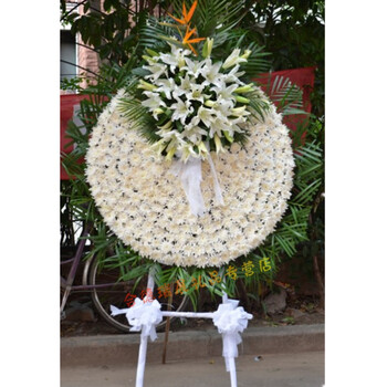 内江市中区东兴区威远资中隆昌蓬溪射洪大英沐