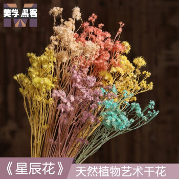 美学黑客 星辰花小干花复古小花束真花干花花束迷你室内田园文艺客厅