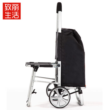 致丽生活 老年购物车带座椅手推车可坐可折叠买菜车带椅子便携小拉车铝合金拖车 橙色 S90座椅车
