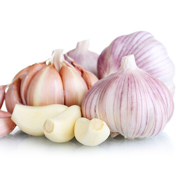 金乡大蒜 紫皮农家新鲜大蒜头 金乡大蒜 可腌制