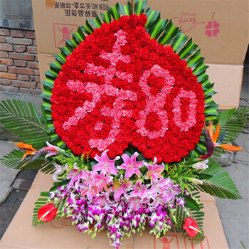 呈贡嵩明寻甸安宁晋宁宜良县石林保山玉溪市红