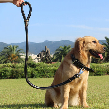 狗先生 狗链 狗绳 牵引绳 狗项圈 狗链子 中 大型犬狗