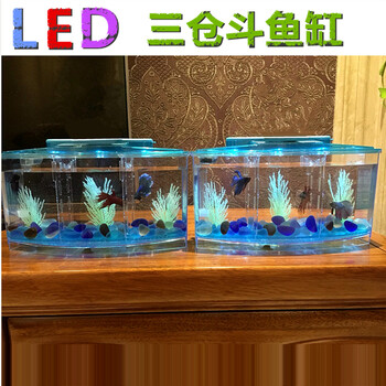 旷奇斗鱼鱼缸 隔离缸斗鱼盒 两格孵化繁殖 亚克