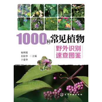 1000种常见植物野外识别速查图鉴 [本书适合植物爱好者参考阅读. ]