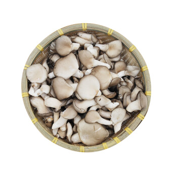 秀珍菇 蘑菇 食用菌菇 约300g 火锅食材 新鲜蔬菜