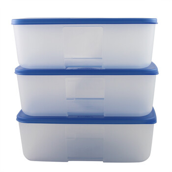 特百惠Tupperware 冰鲜冷冻保鲜套装3件套 1.7L/个 蓝色