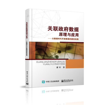 《关联政府数据原理与应用──大数据时代开放