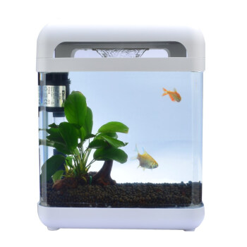 喜高 创意小鱼缸水族箱小型玻璃鱼缸生态瀑布
