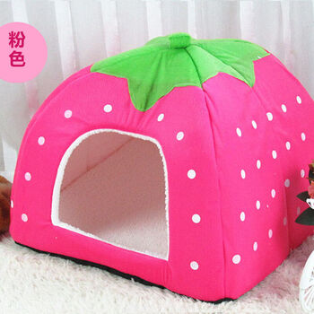 天地荟宠物食品专营店