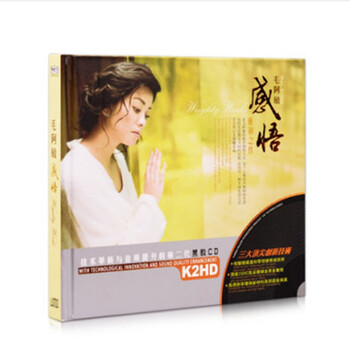 毛阿敏感悟 经典流行老歌金曲专辑黑胶无损汽