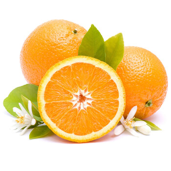 春甜园 湖北宜昌秭归脐橙子柑橘水果 5kg