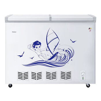 海尔(Haier)卧式双温冰柜 双室冷藏冷冻 海尔家