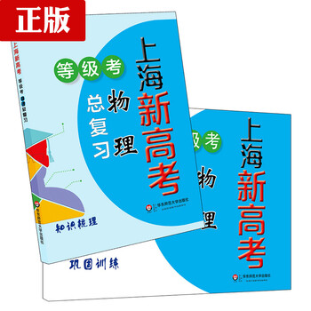 《上海新高考 等级考 物理总复习 知识梳理+巩