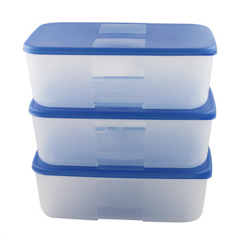 特百惠Tupperware 冰鲜冷冻保鲜套装3件套 1.7L/个 蓝色