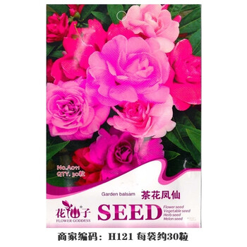 绿国园艺 茶花凤仙花种子指甲草七彩凤仙非洲红粉煕白