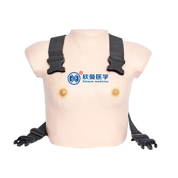 高级着装式乳房v乳房模型乳房自检乳腺技法视诊中国山水画画法02云的模型图片