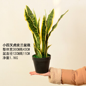 2017新品,室内装饰花卉绿植盆栽大盆景虎皮兰橄榄树仿真植物客厅落地