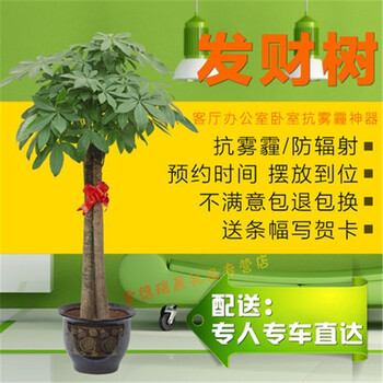 宁波市海曙区江东区江北区北仑区镇海区鄞州区