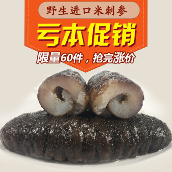 纯野生进口海参冰岛加拿大土耳其无刺米刺参岩刺参原货0克