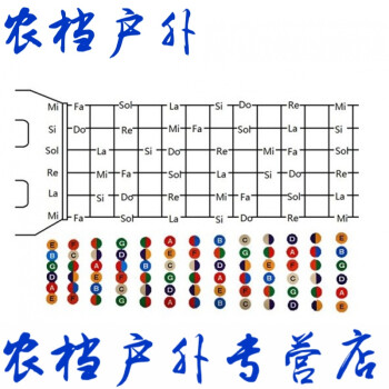 吉他音阶音名贴纸唱名简谱指板贴纸 彩色新款吉他音阶