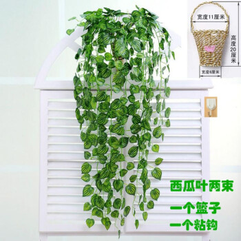 新款仿真植物壁挂仿真绿植垂吊壁挂植物吊篮吊兰藤蔓藤条假植物墙装饰