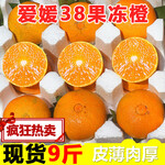 紫砂罐铁观音新茶150克茶叶碧螺春 紫砂葫芦风顺 高山