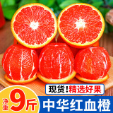 血橙新鲜橙子中华红秭归应当季水果红心冰糖脐甜橙整箱 9-10斤 中华红