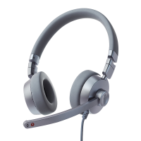 ThinkPlus联想头戴式智能降噪耳机话务员客服专用耳机双耳电脑会议网课耳麦USB-C有线连接 ThinkBook ENC80