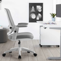 联丰（LIANFENG）电脑椅 办公椅子电竞椅家用学习人体工学椅会议职员椅DS-223灰色