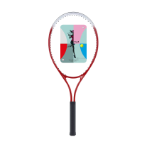 英辉（INVUI）网球拍初学者训练拍网球回弹训练器带线网球，手胶，拍包，魅力红