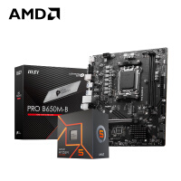 AMD 锐龙R5 7500F搭微星PRO B650M-B 游戏办公电脑主板 CPU主板套装 板U套装