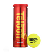 天龙（Teloon）网球高弹耐磨训练球比赛练习用球 LUXQ1