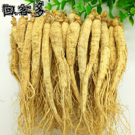 回客多500克长白山整支人参白参生晒参野