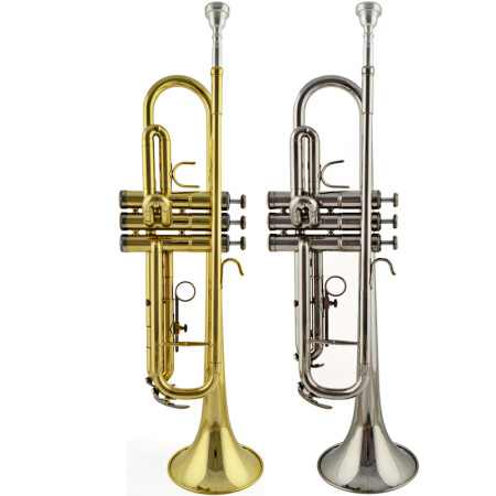 Jinbao JBTR-300 small Instrument gold silver Vietnam | Ubuy