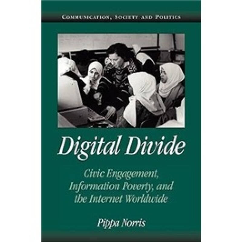 digital divide 自营