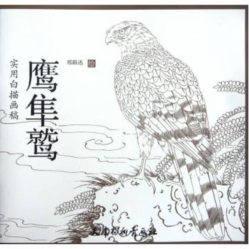 鹰隼鹫(实用白描画稿)