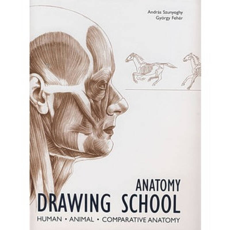 《人体,动物解剖素描(附1200余幅图片)anatomy drawing school-human