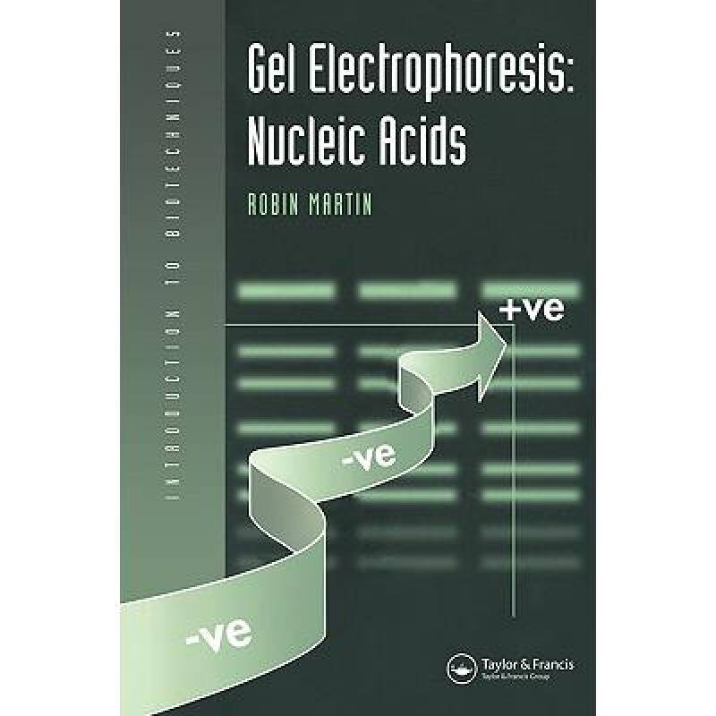 gel electrophoresis: nucleic acids