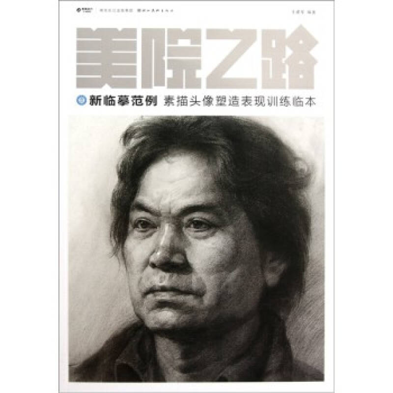 美院之路 新临摹范例:素描头像塑造表现训练临本 王建军