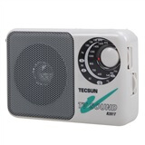 ������TECSUN��R-201T ����ʽ��Ƶ/����/���Ӱ���������