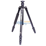 �ݱ���TRIOPO�� M-2281T+NB-2S þ���Ͻ� ���żܣ���ɫ��